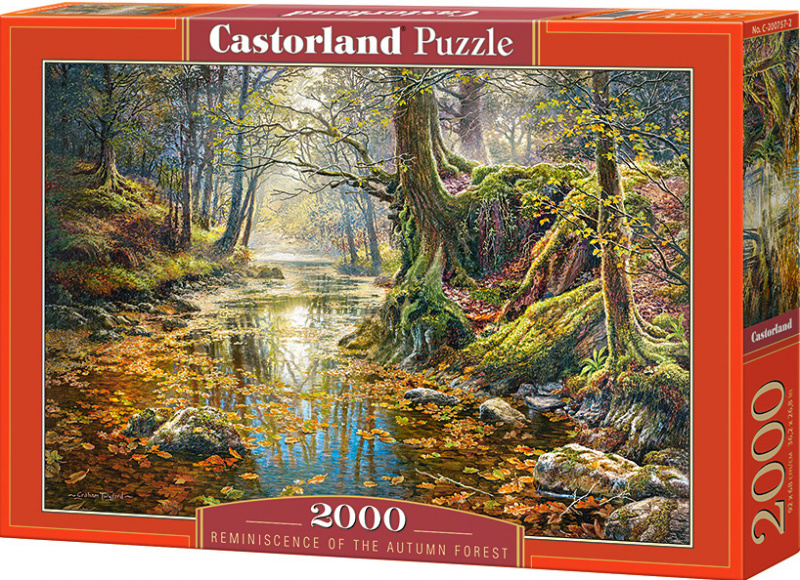 Puzzle 2000 dílků - Podzimní les