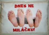 Humorný polštář - Dnes Ano/Ne (2/2)